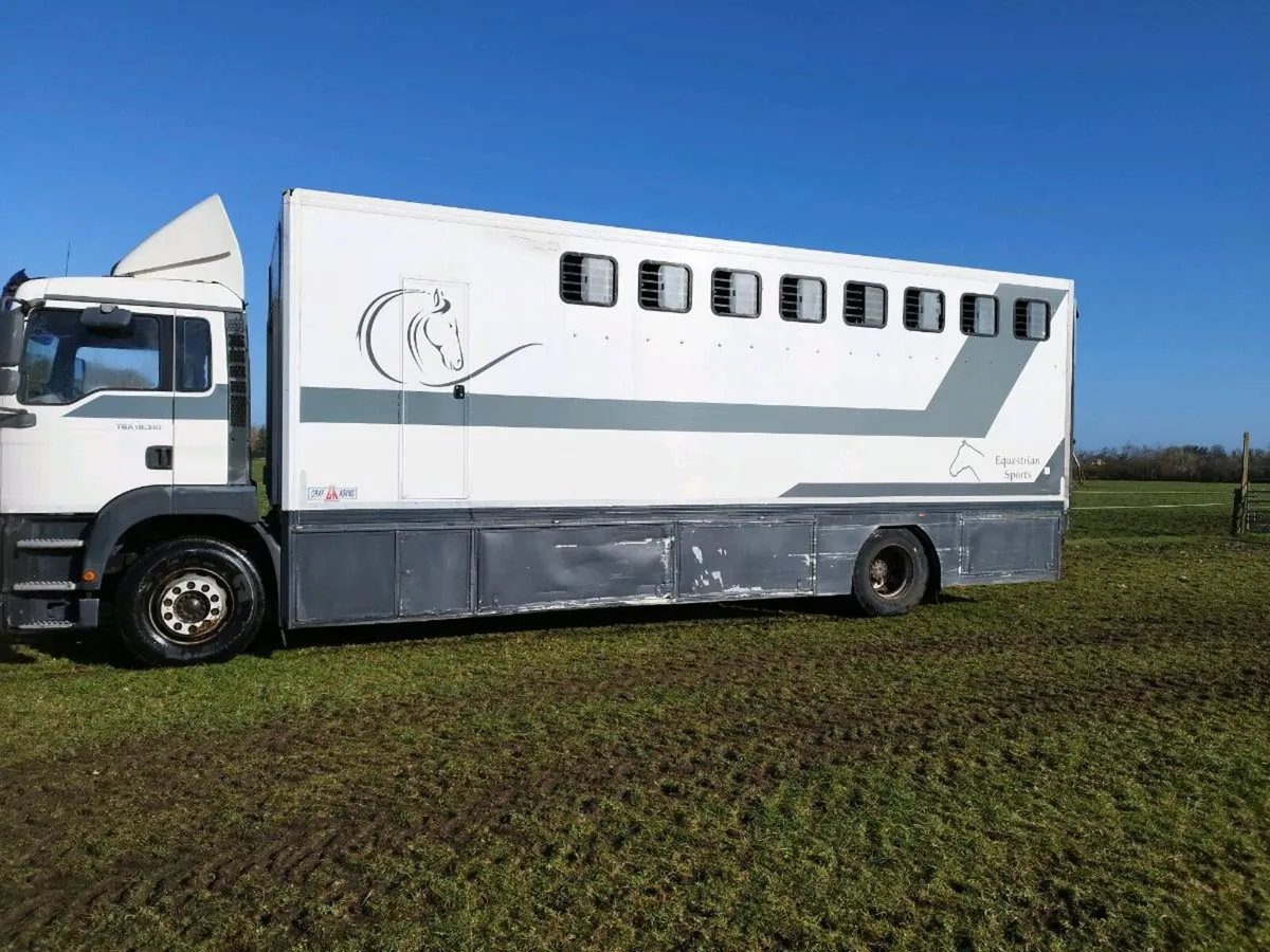 8 horse truck - Image 2