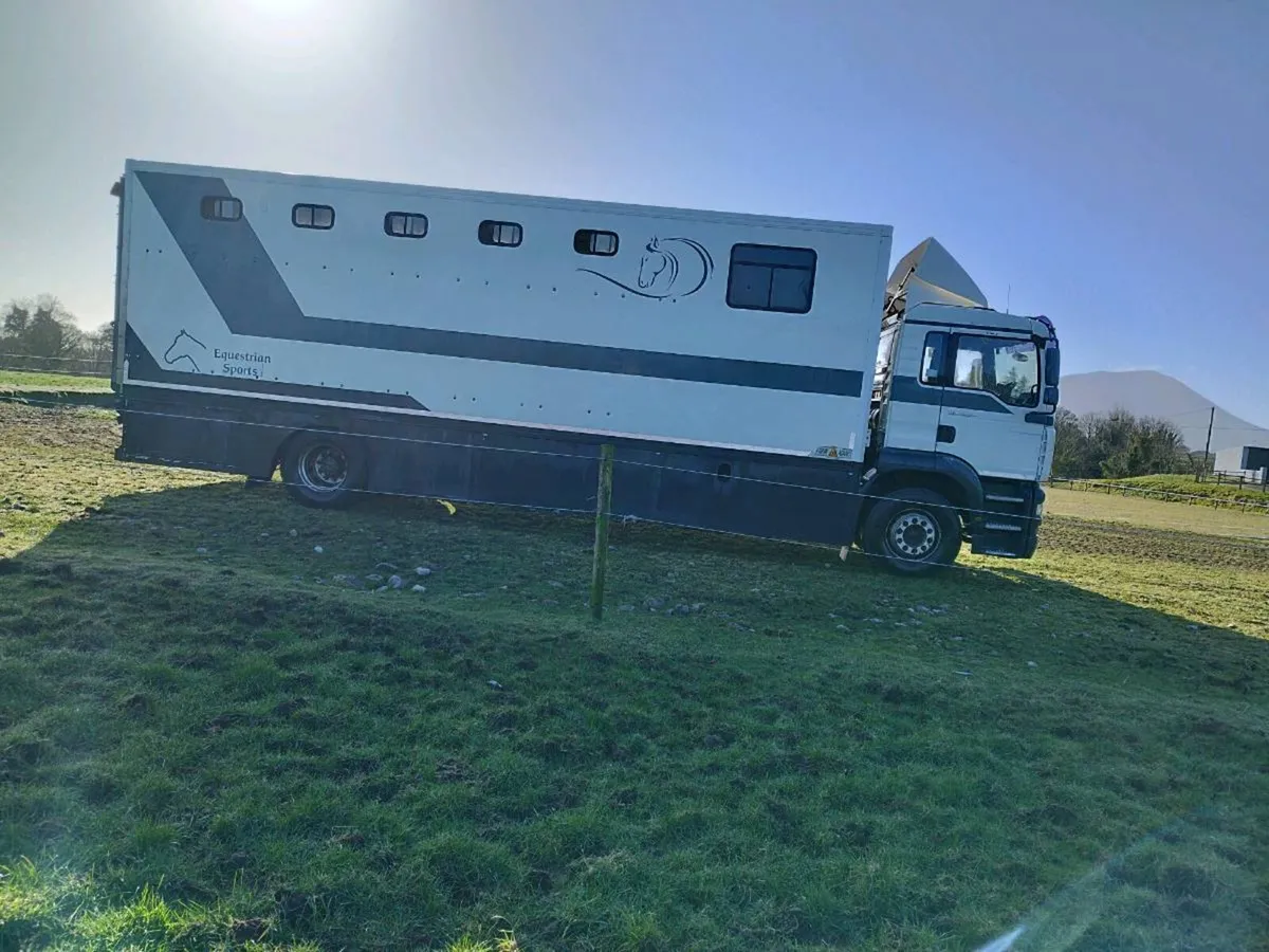 8 horse truck - Image 3