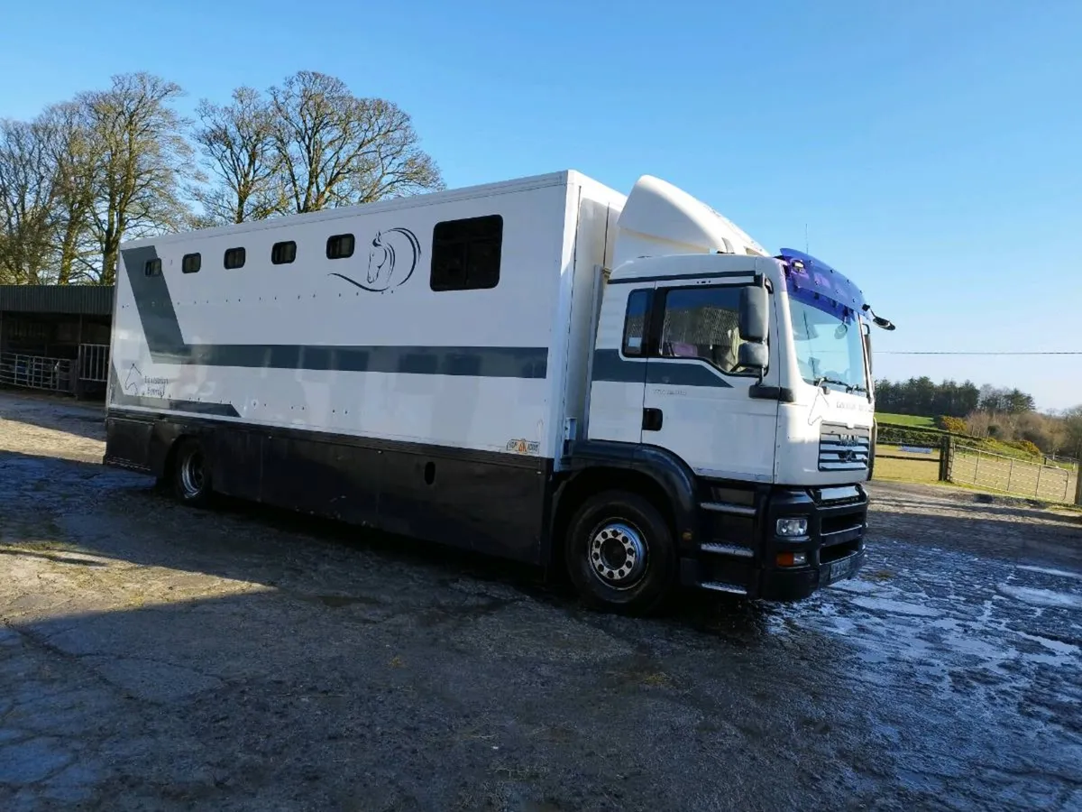 8 horse truck - Image 4