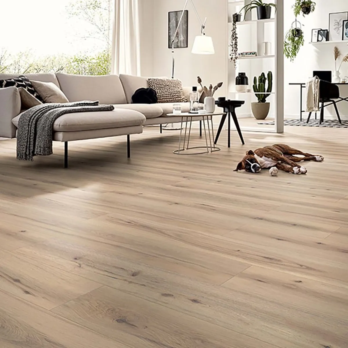 Laminate Flooring – Arizona Oak Beige - Image 1