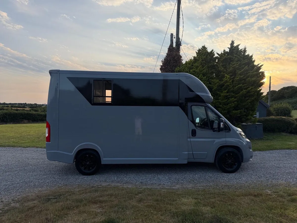 2017 horse van - Image 4