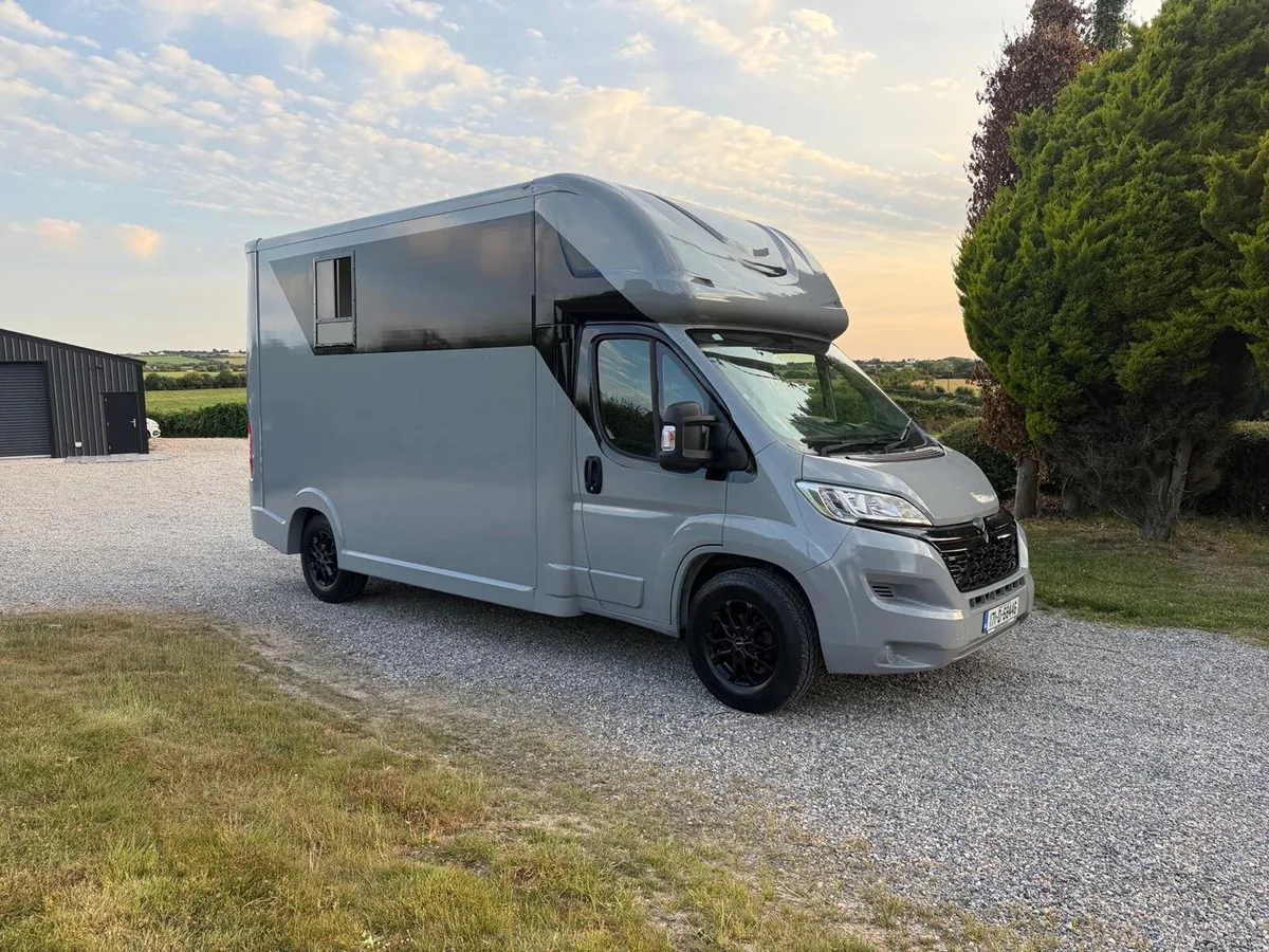 2017 horse van - Image 2