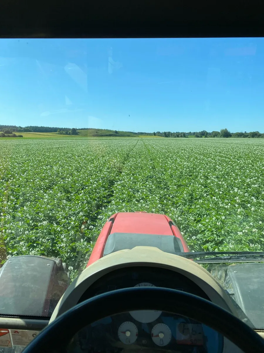 Land wanted for potatoes - Image 2