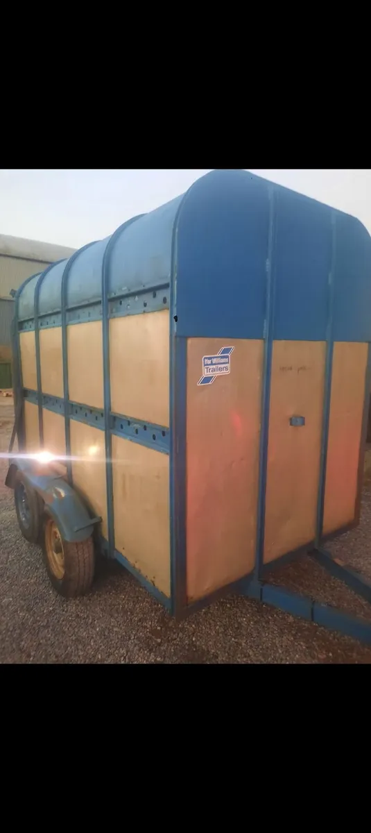 Cattle box - Image 2