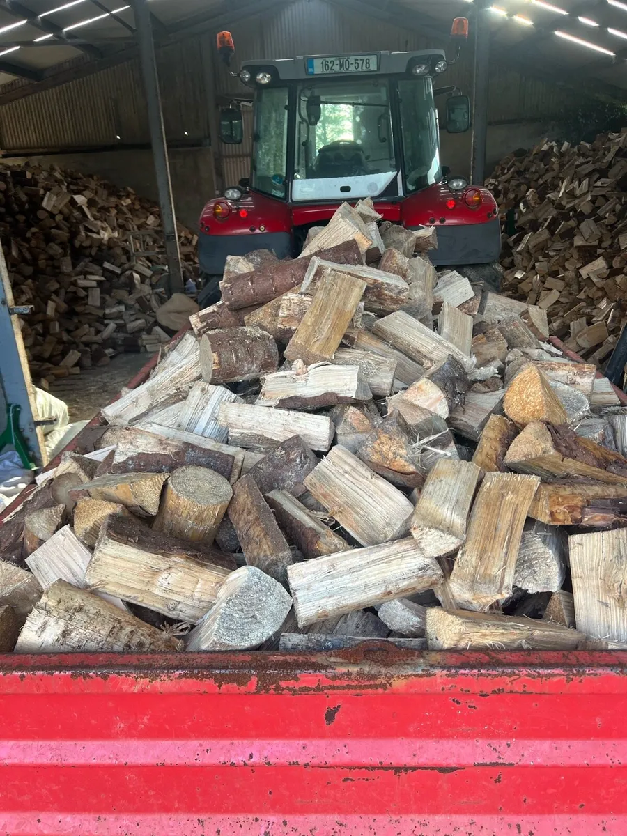 Firewood - Image 3