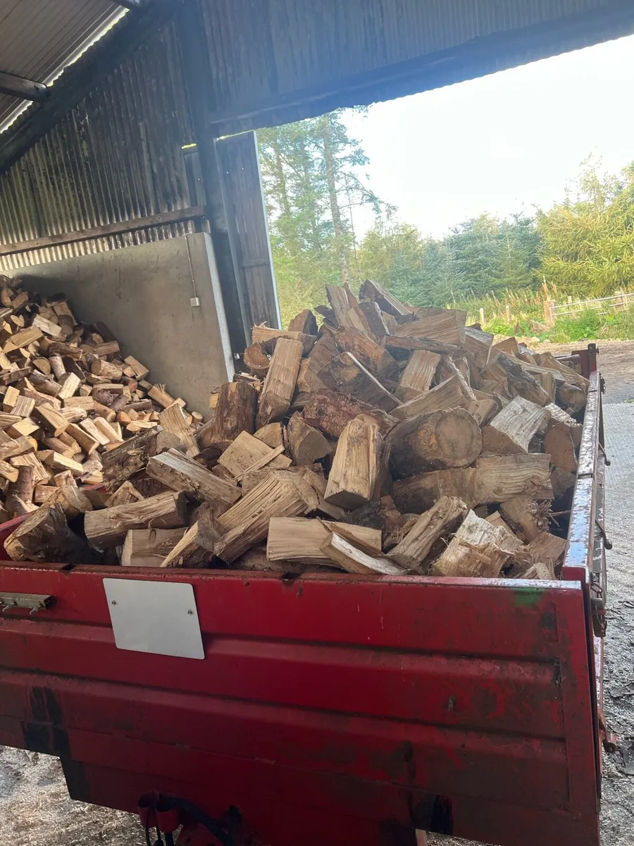 Firewood - Image 2