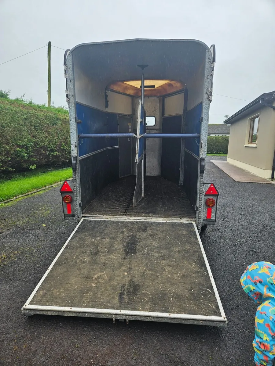 Ifor williams horsebox - Image 3