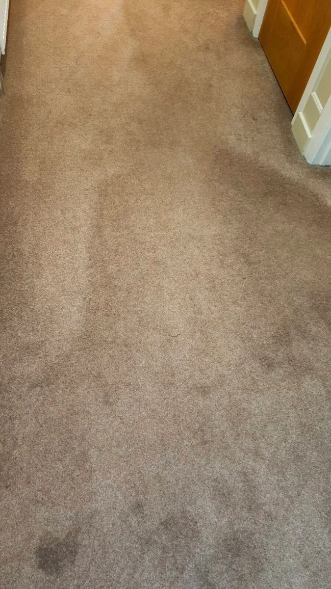 FREE 100% Wool Carpet Brown stairs and landing - Image 3