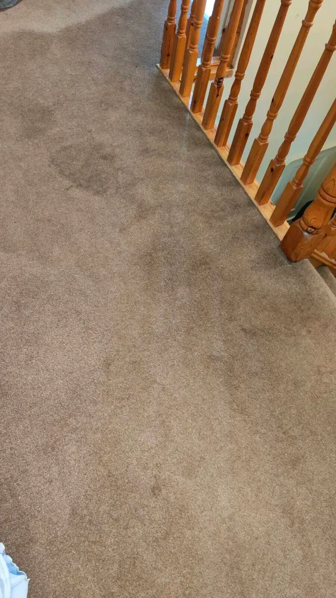 FREE 100% Wool Carpet Brown stairs and landing - Image 4