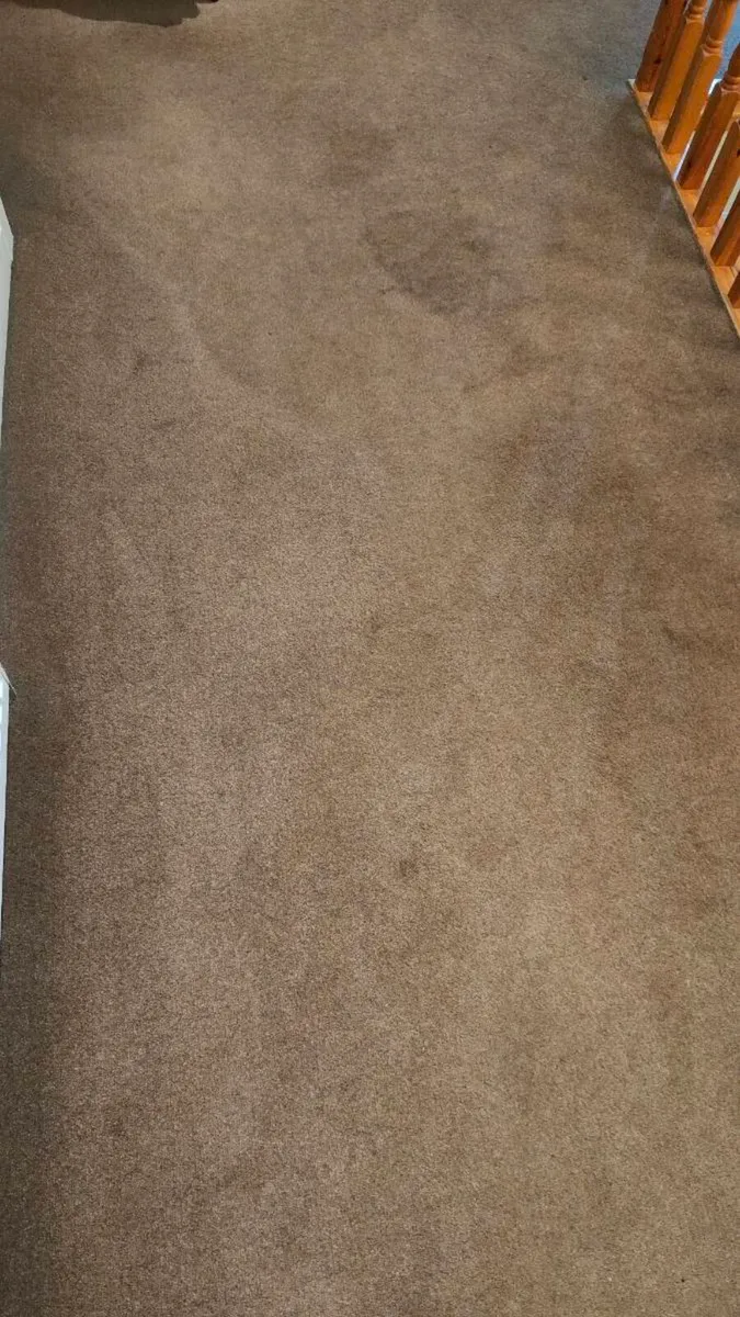 FREE 100% Wool Carpet Brown stairs and landing - Image 2