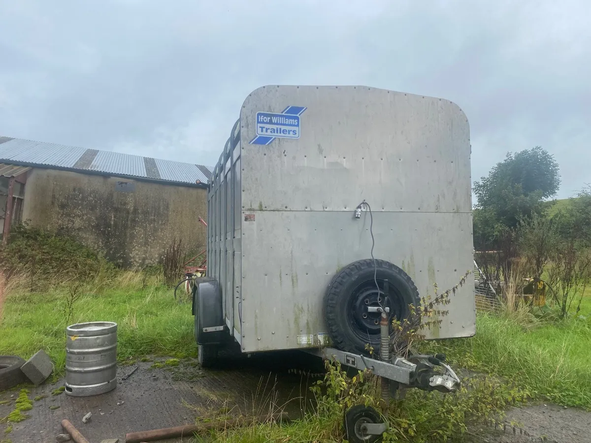 Cattle Trailer - Image 2