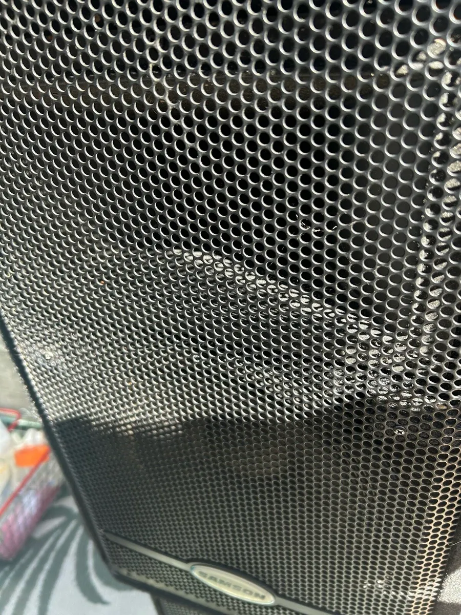 Two Speaker’s Samson
