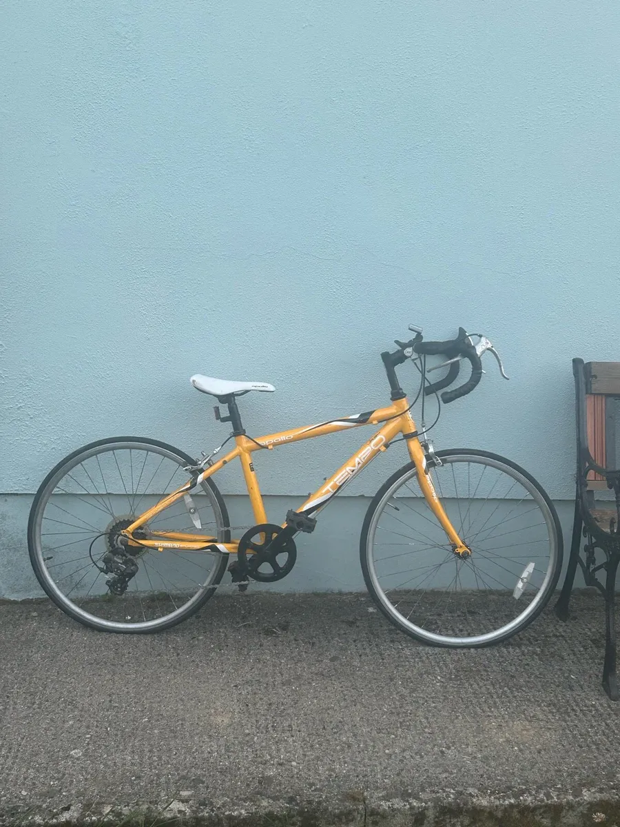 Racing bike - Image 2