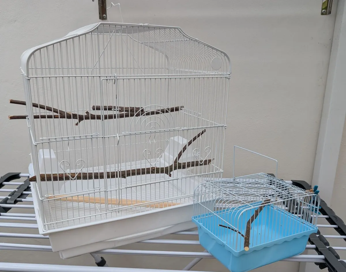 Bird cages - Image 2