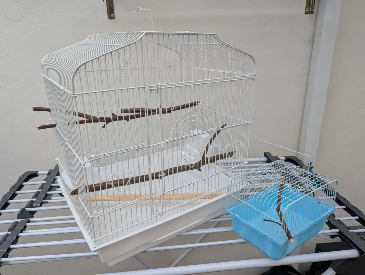Bird cages - Image 3