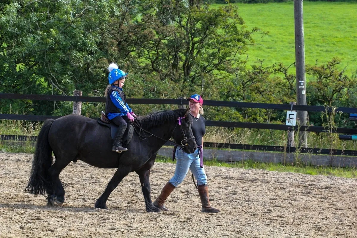 Pony - Image 1