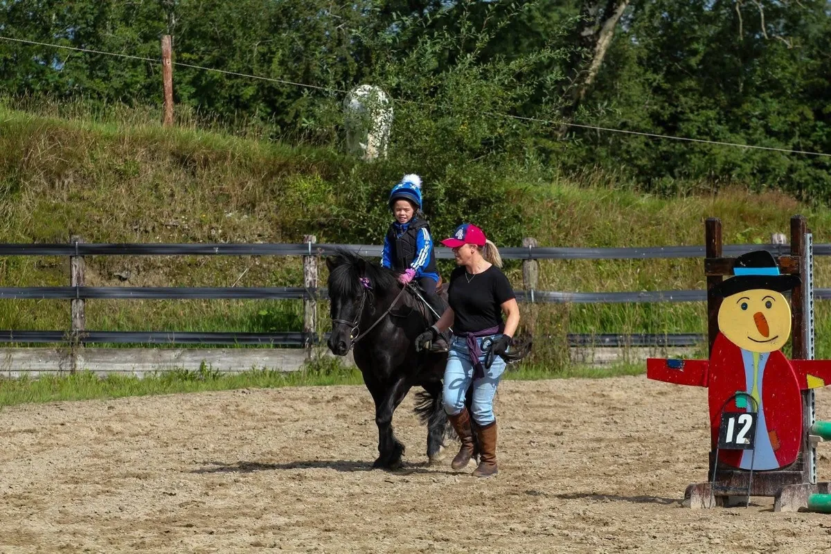 Pony - Image 2