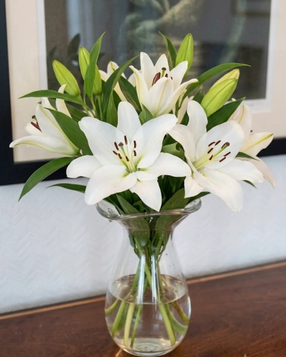 Vintage Glass Vase - Image 1