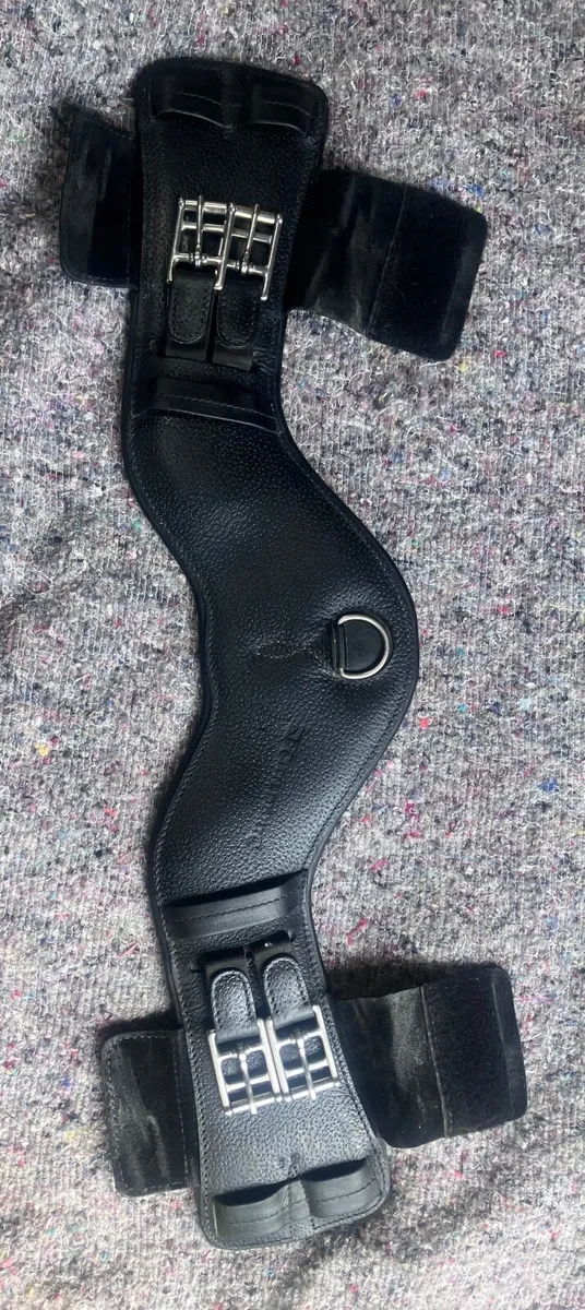 Childeric girth - Image 1