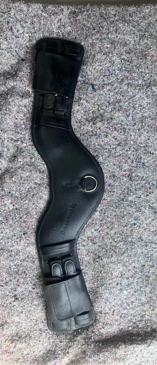 Childeric girth - Image 2