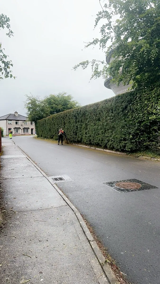 Hedgecutting for hire - Image 4