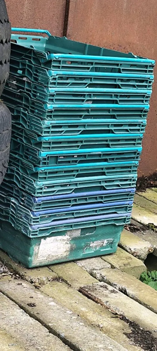 Veg crates boxes - Image 1