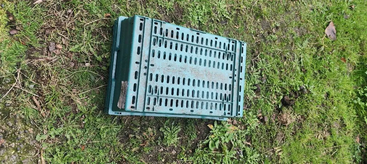 Veg crates boxes - Image 2
