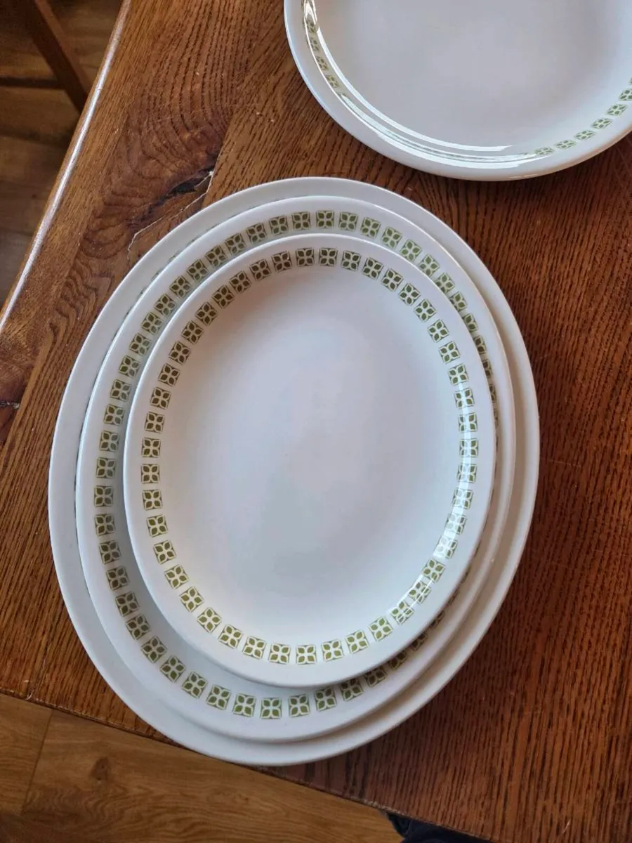 New Commerical Delph Dudson - Image 4