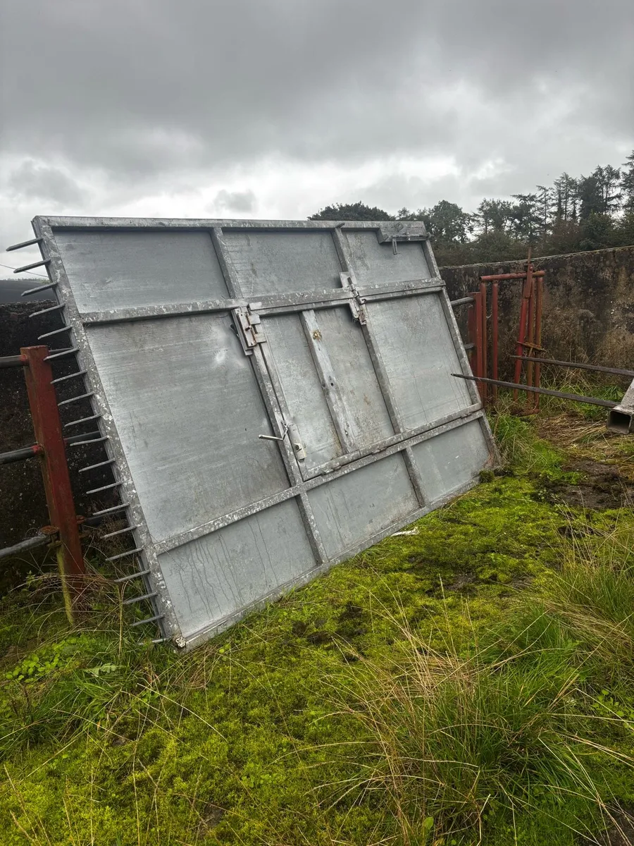 Shed doors - Image 4