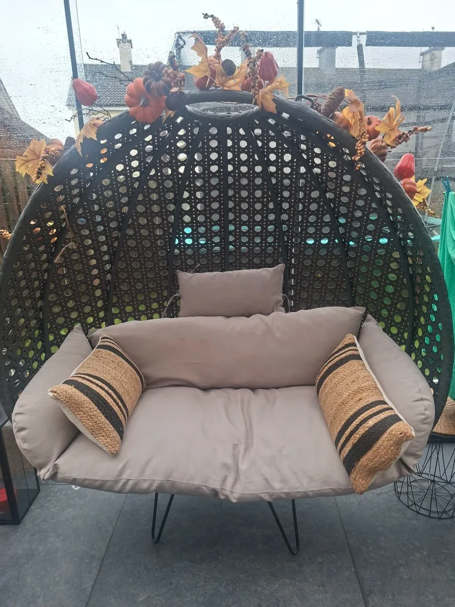 Double egg chair