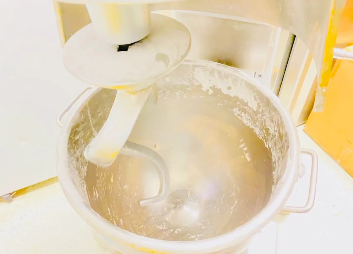 Professional Pizza dough for commercial use. - Image 2