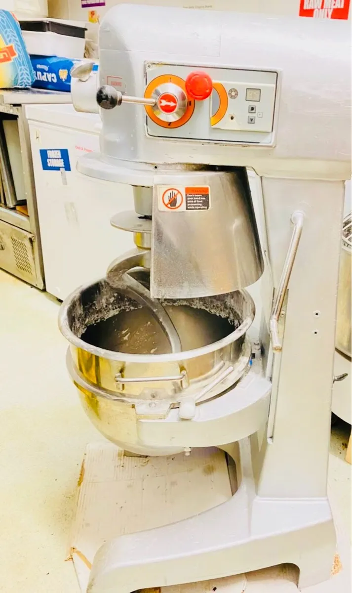 Professional Pizza dough for commercial use. - Image 3