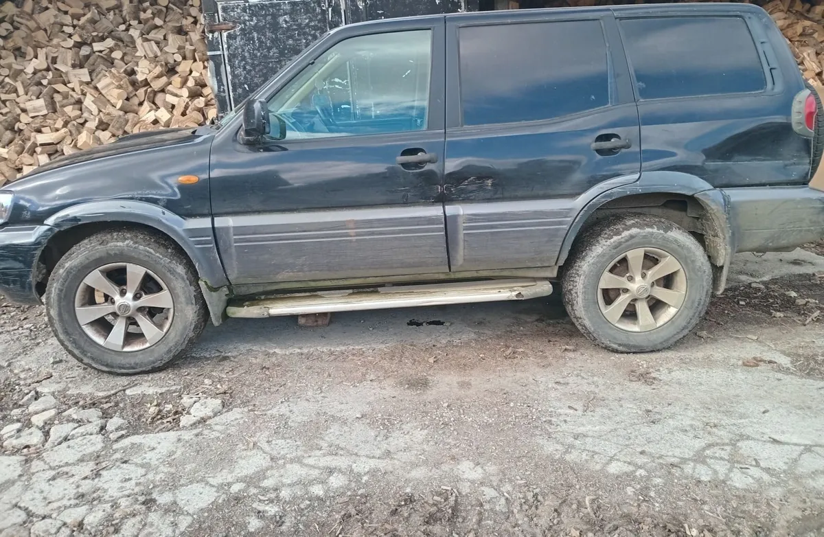 Nissan Terrano 2004 - Image 1