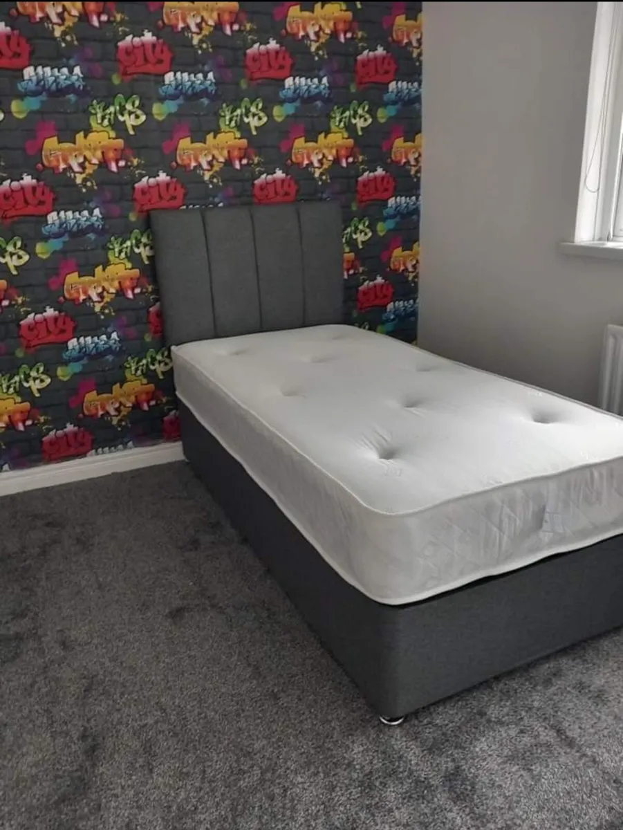 New beds