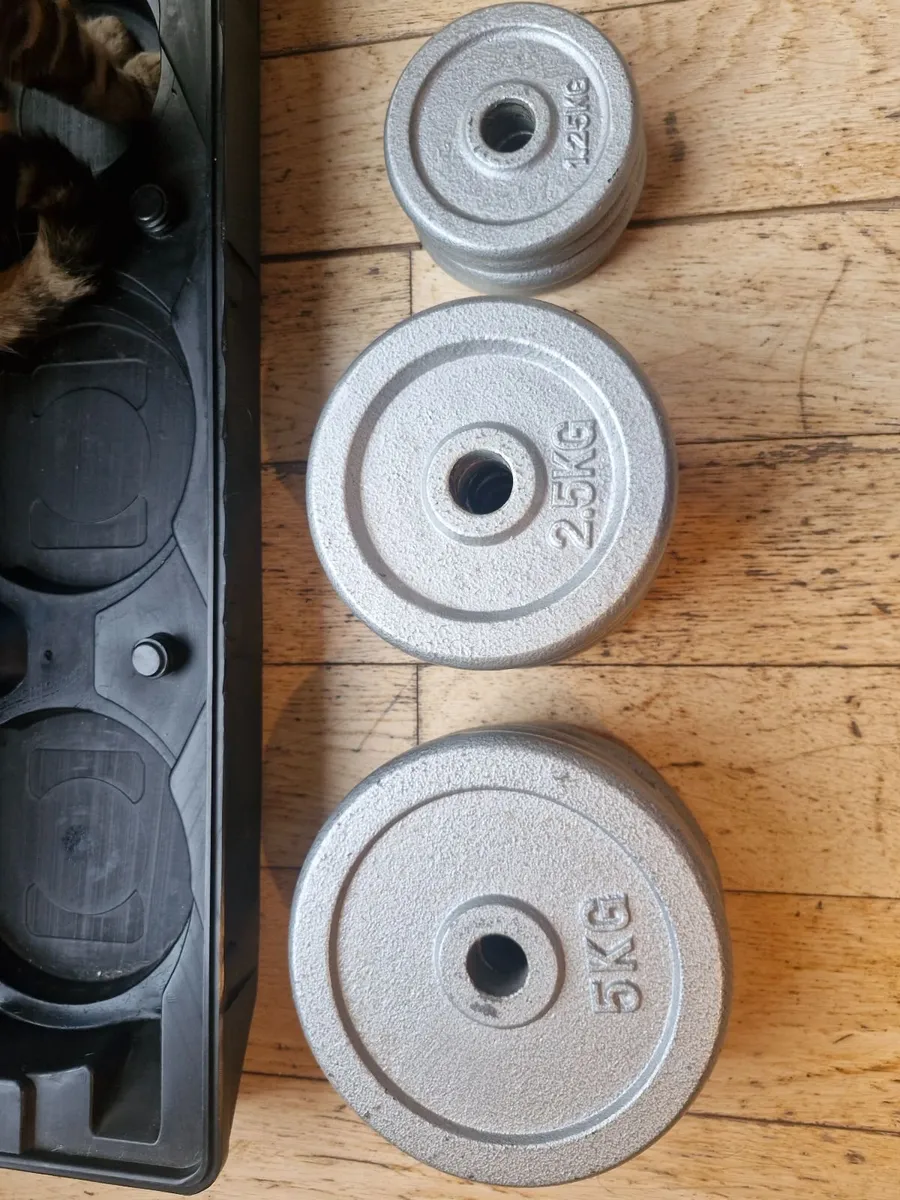 Free weight set (Dumbbells - 40kgs total) - Image 3