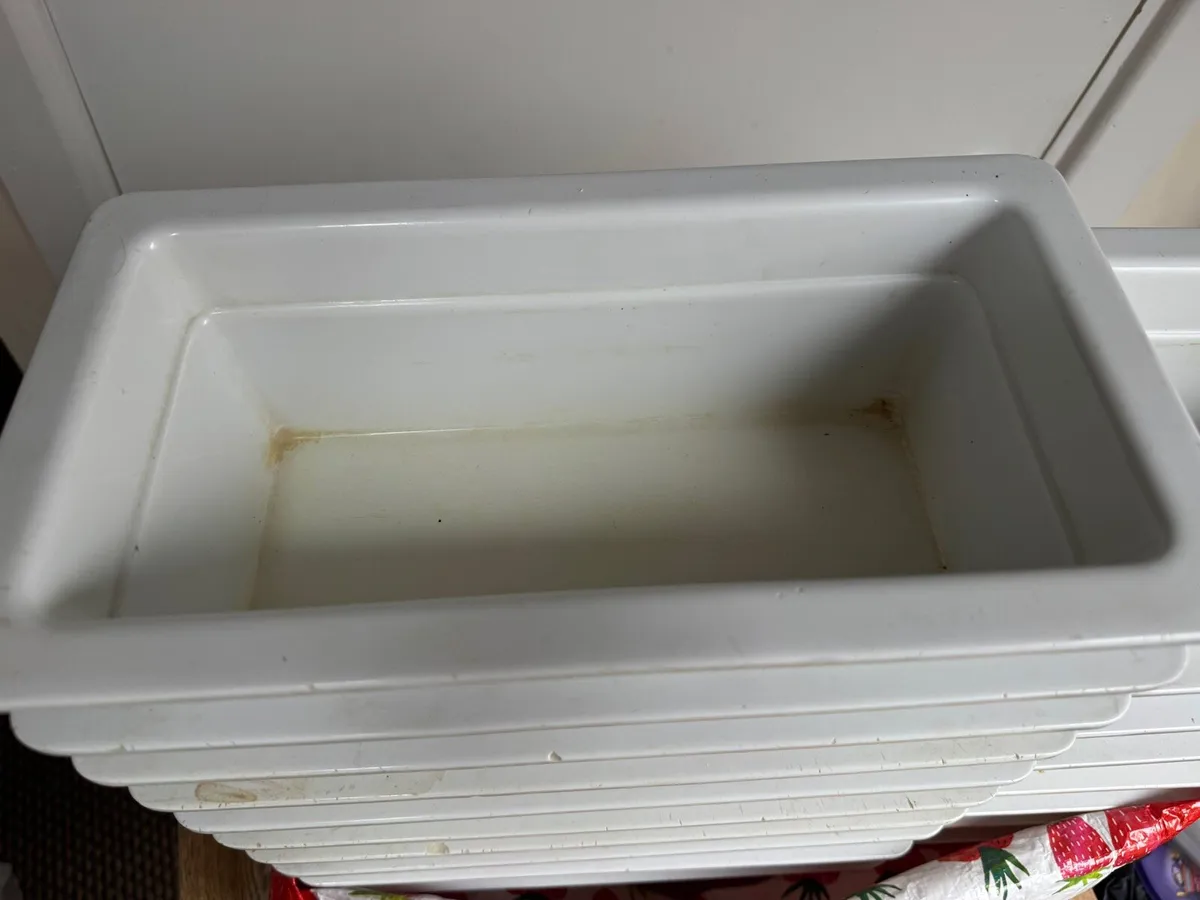 Catering trays ceramic . 10 large 10 small - Image 4