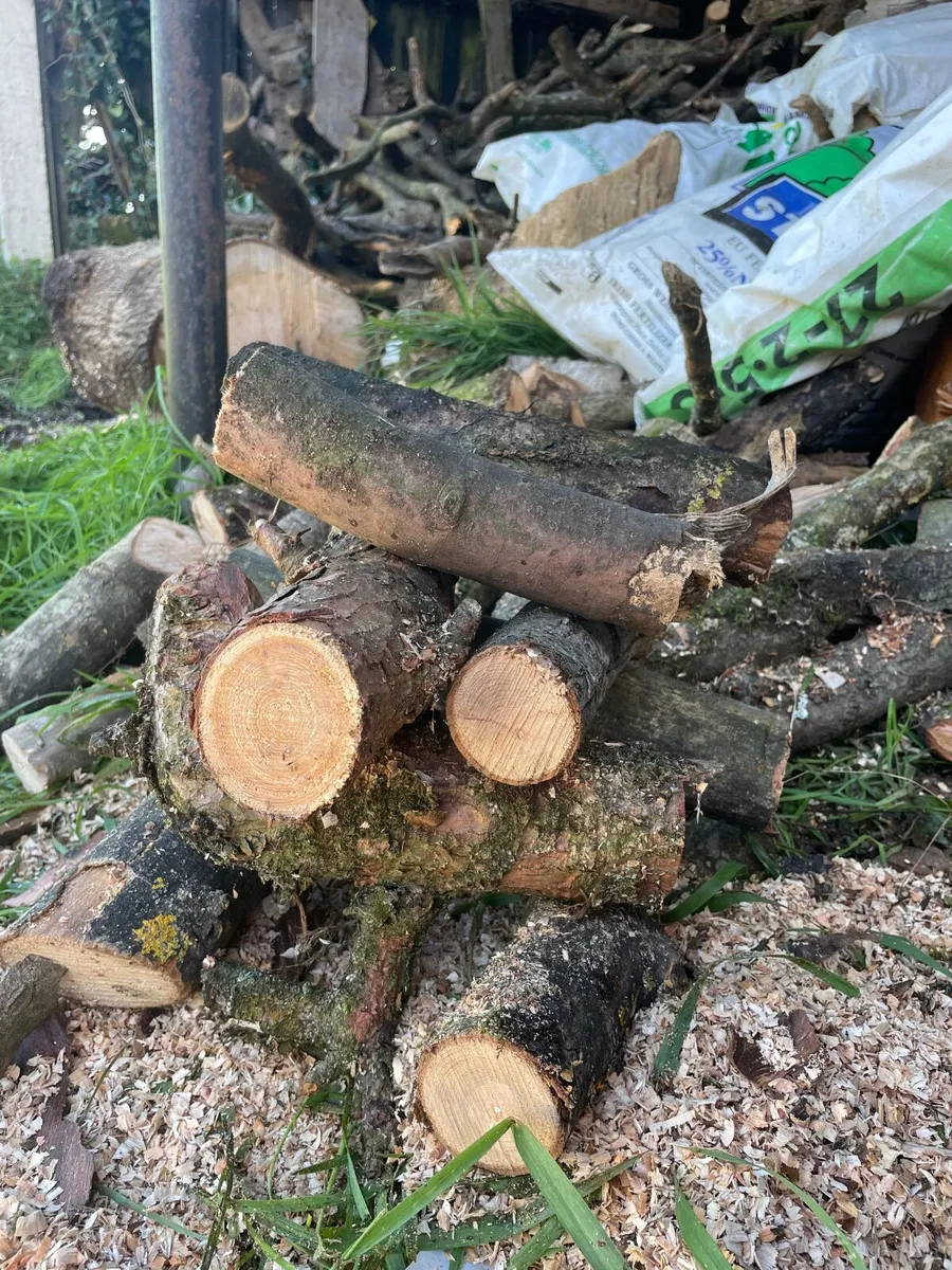 Firewood - Image 4
