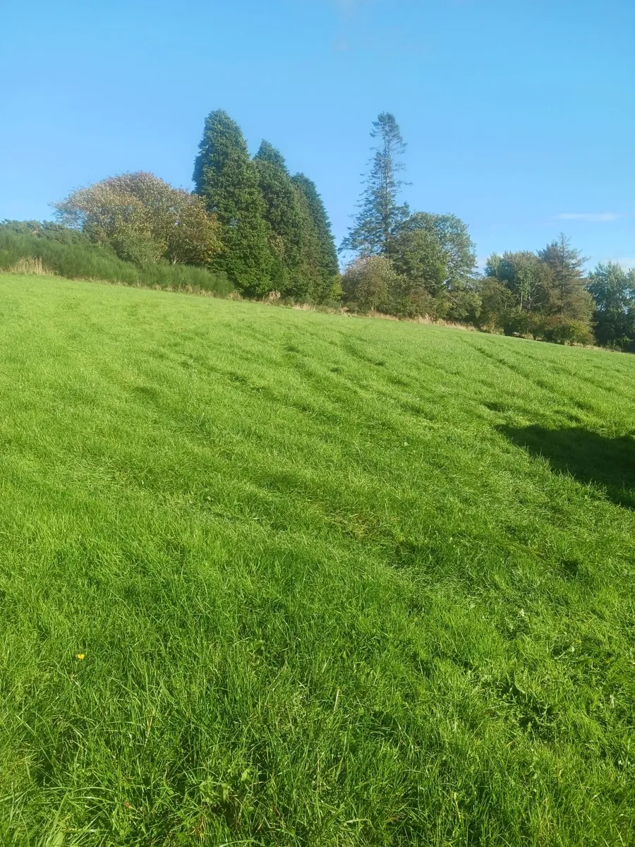 Grazing