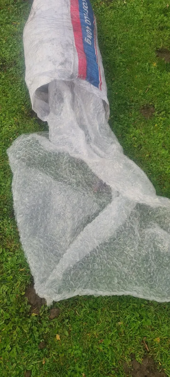 Bubble Wrap 100 meters x 1 meter wide good quality - Image 2