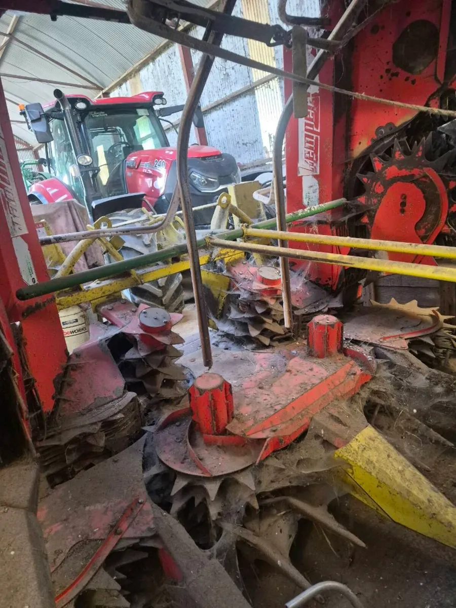 8 row maize head - Image 1