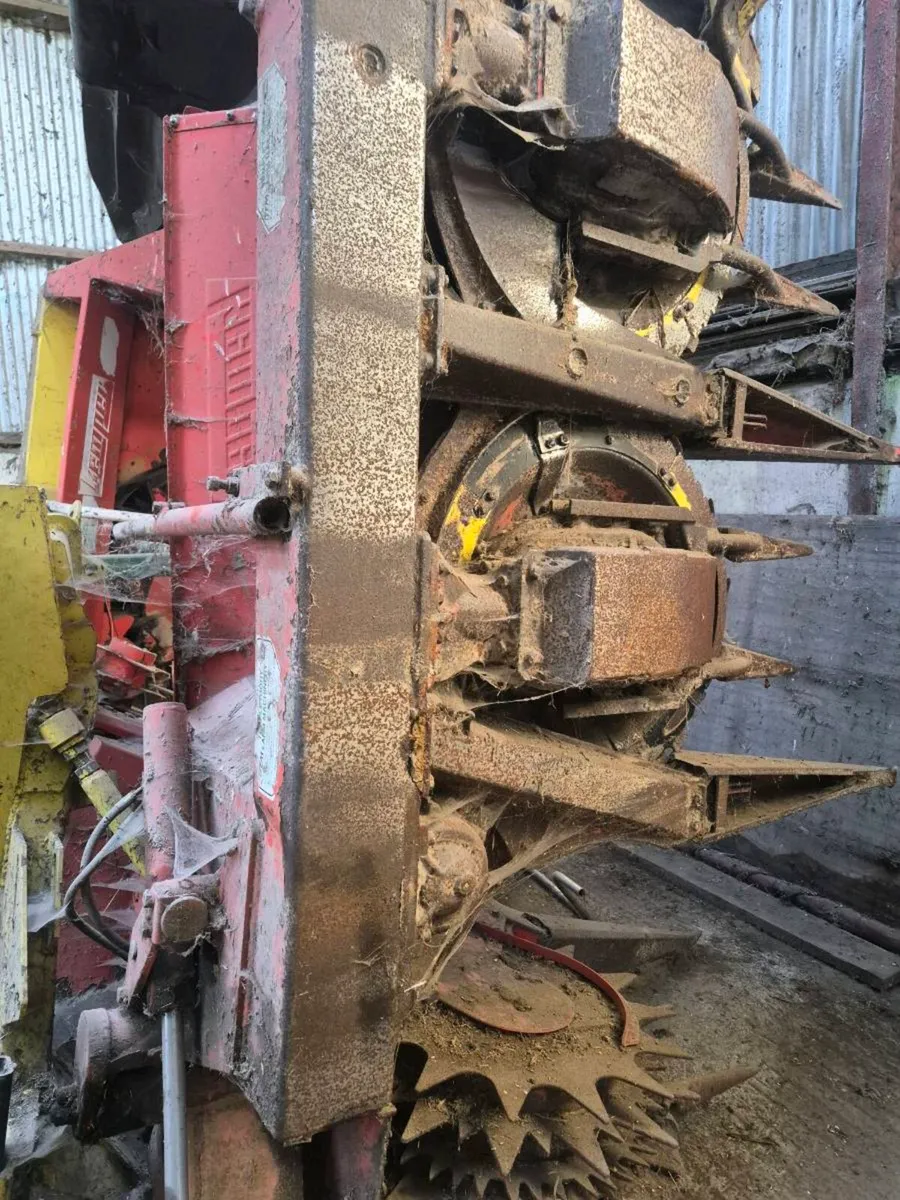 8 row maize head - Image 2