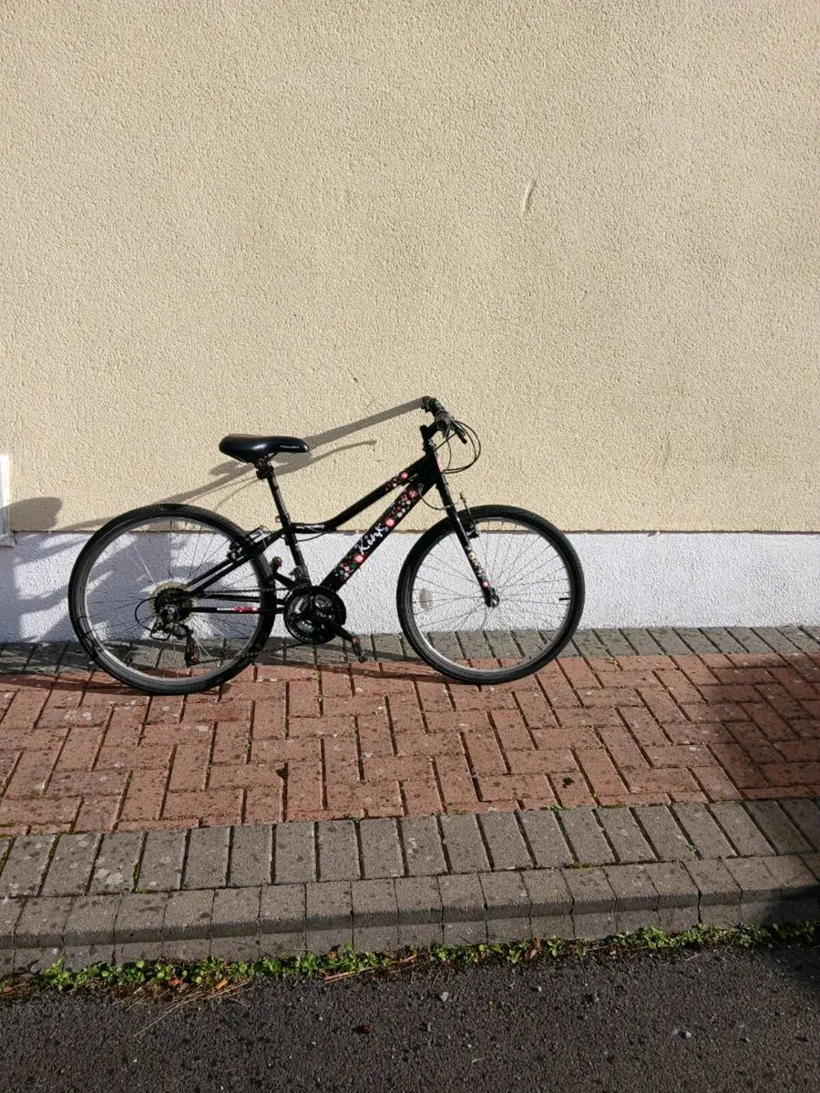 Bike - Image 4