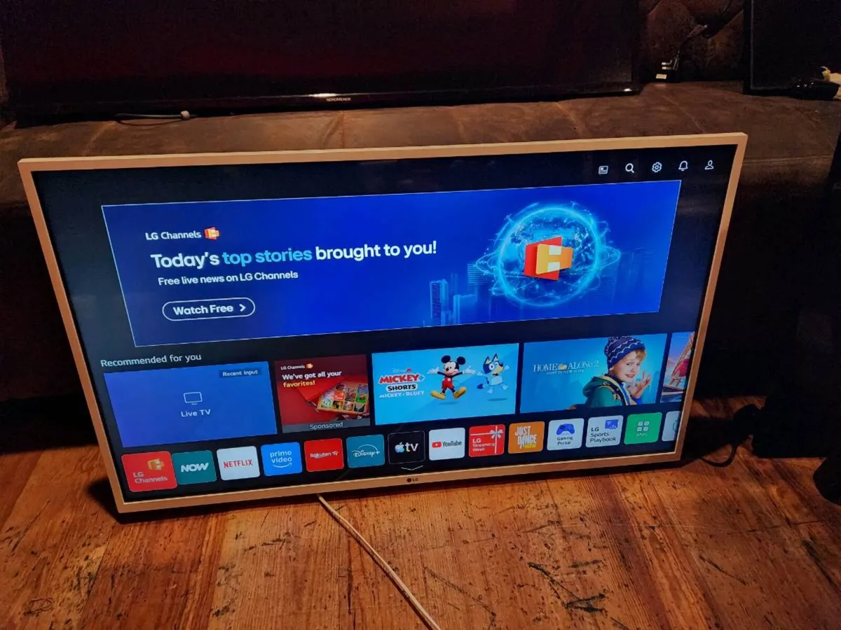 Web OS 43" LG TV