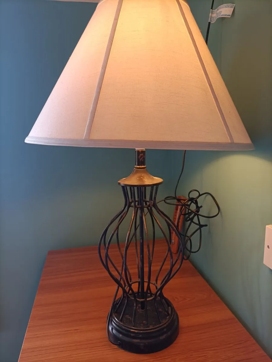 Rare Vintage Open-Cage Iron Table Lamp - Image 3