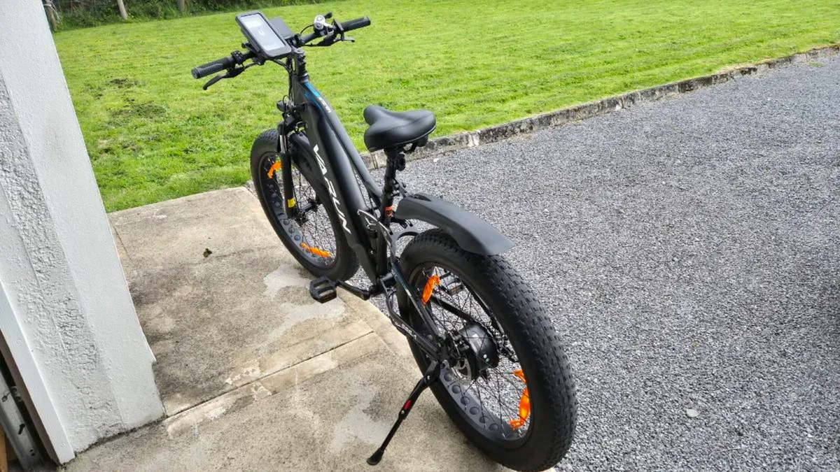 Electric bycicle - Image 2