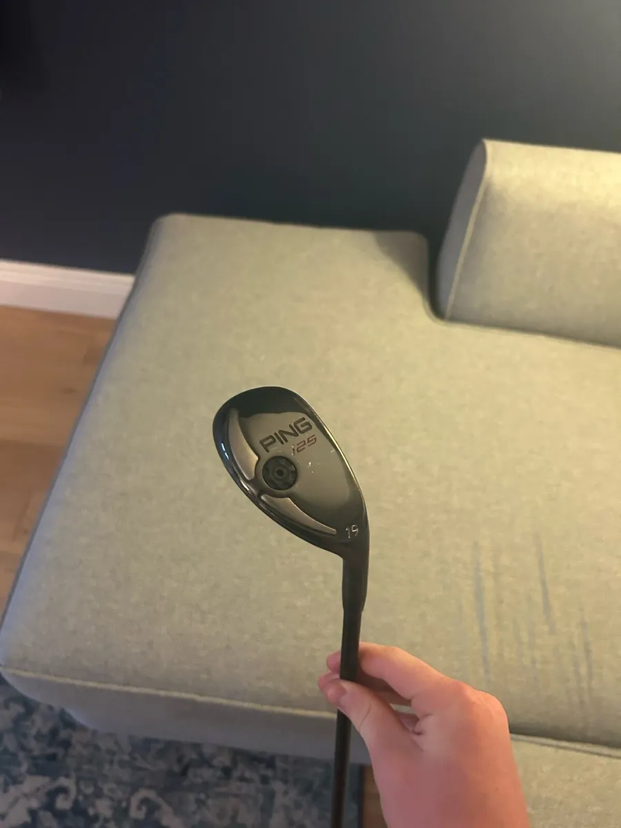 Ping hybrid - Image 1