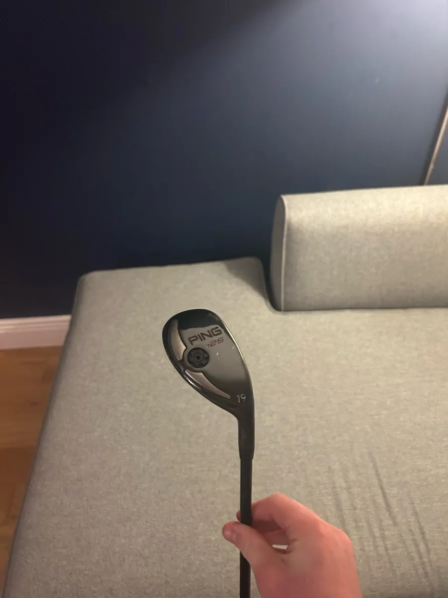 Ping hybrid - Image 4