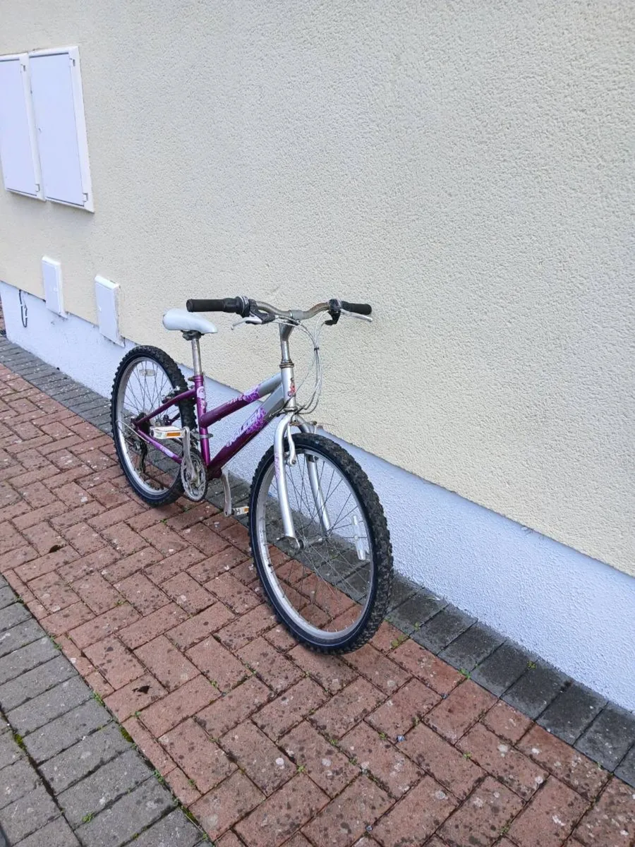 Bike - Image 1