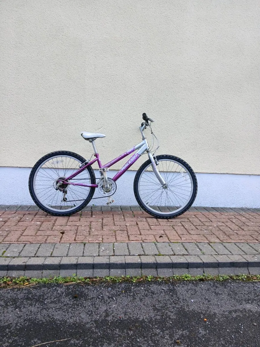 Bike - Image 2