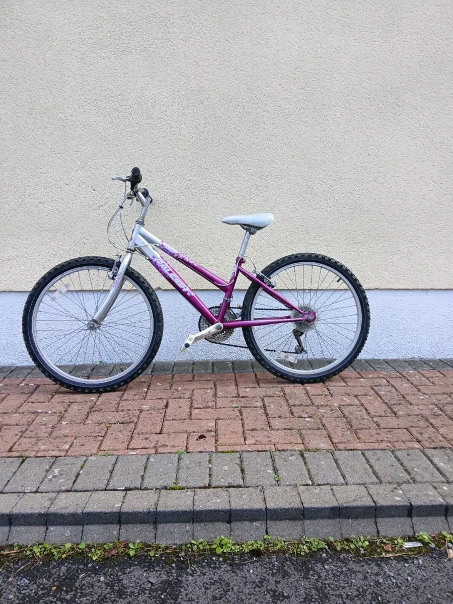 Bike - Image 3